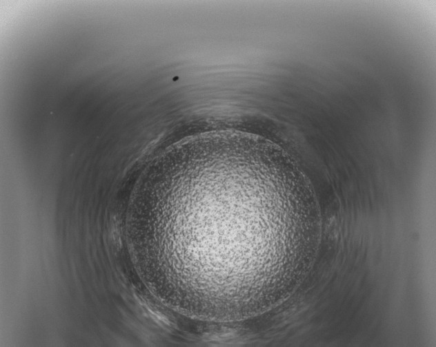 X0000062640772200512231040