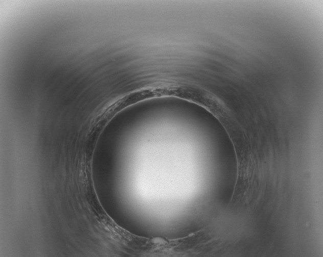 X0000062640773200512231040