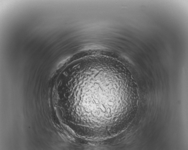 X0000062640775200512231040