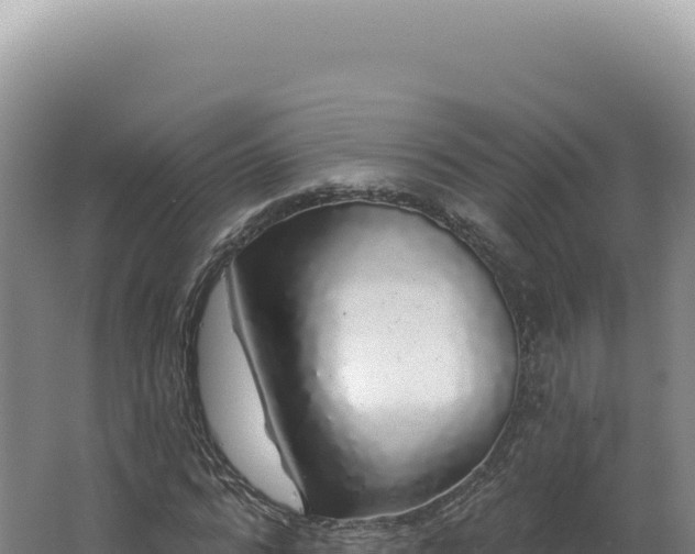 X0000062640776200512231040