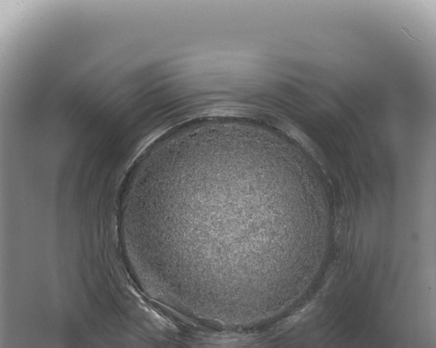 X0000062640829200512231038