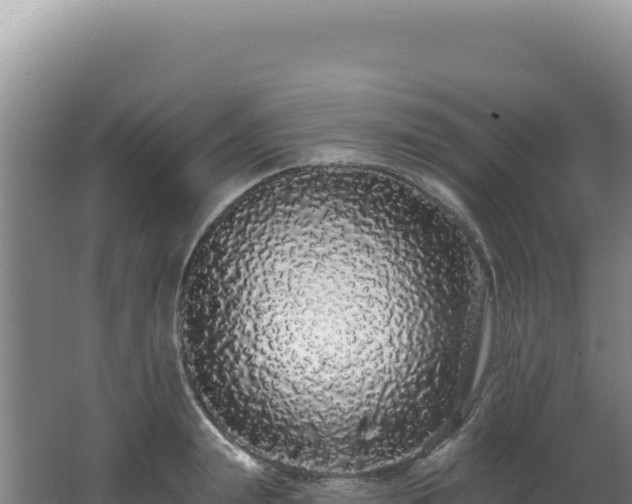 X0000062640847200512231039