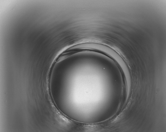 X0000062640854200512231039