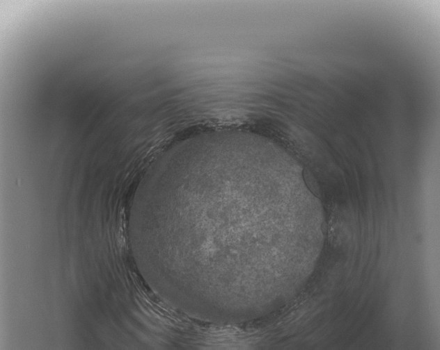 X0000062640866200512231038