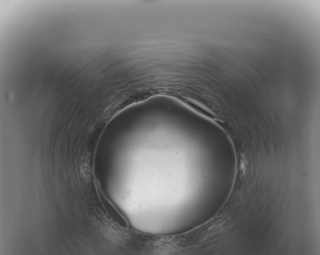 X0000062640867200512231038