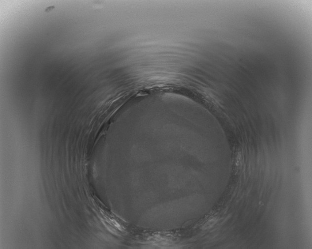 X0000062640868200512231038