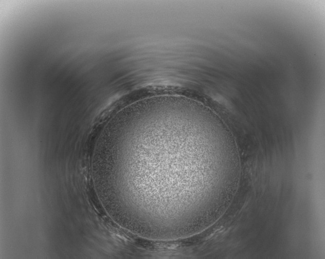 X0000062640870200512231038