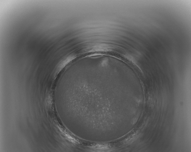 X0000062640874200512231038