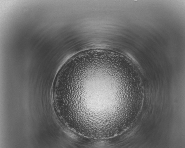 X0000062640891200512231037