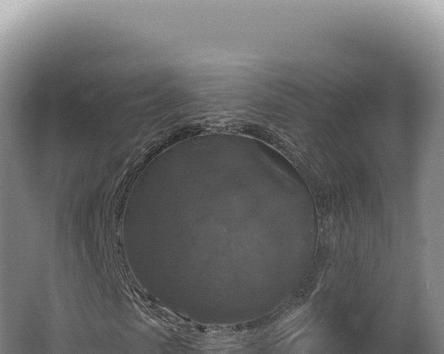 X0000062640913200512231036