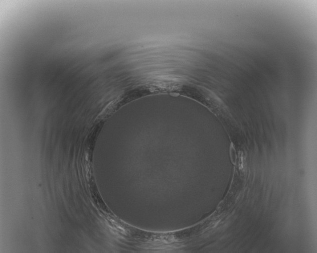 X0000062640915200512231036