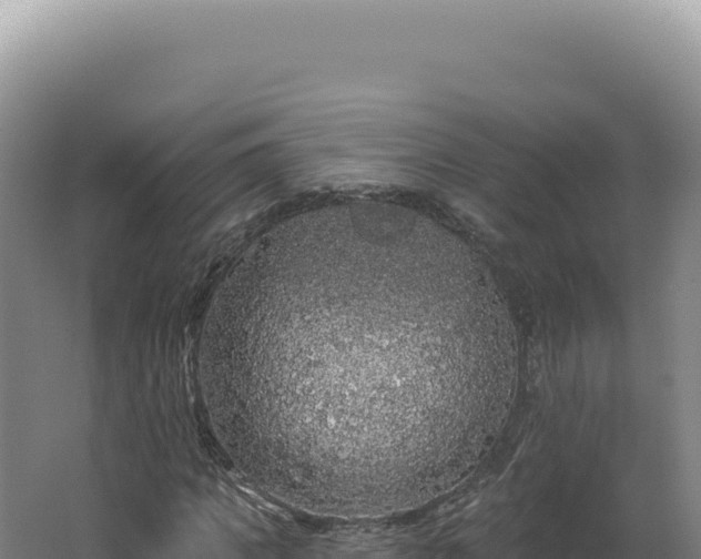 X0000062640917200512231036