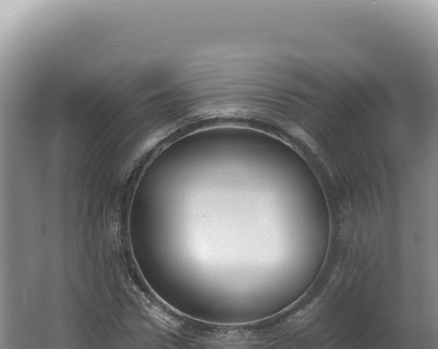 X0000062640922200512231036