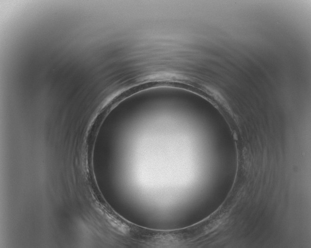 X0000062640931200512231037