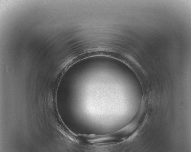 X0000062640969200512231036