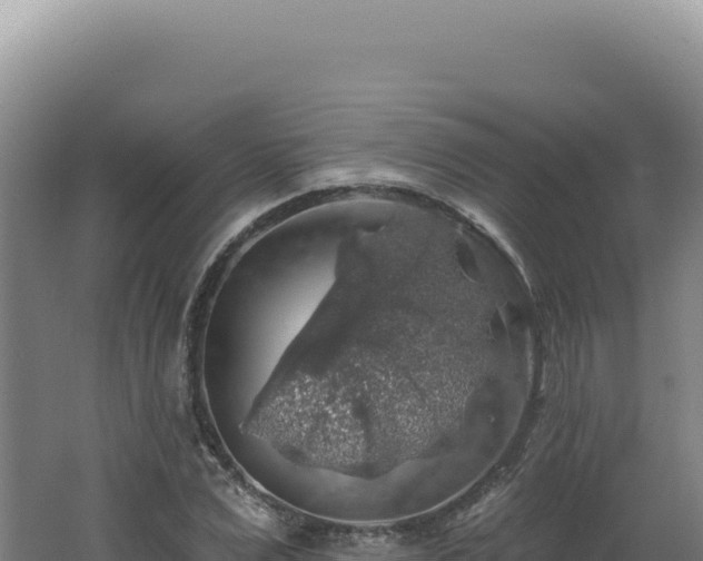 X0000062640975200512231036