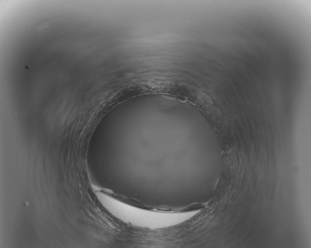 X0000062641009200512231035