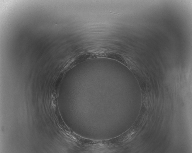 X0000062641010200512231035