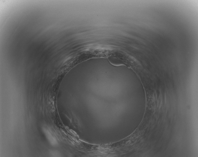 X0000062641013200512231035