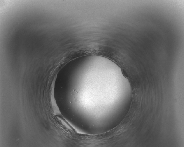 X0000062641057200512231035