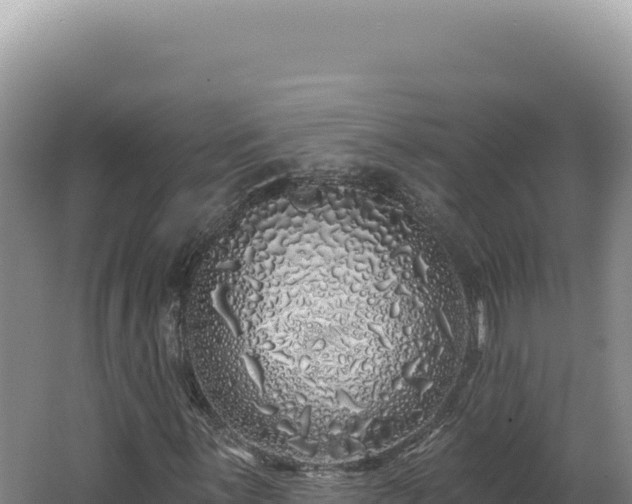 X0000062641059200512231034