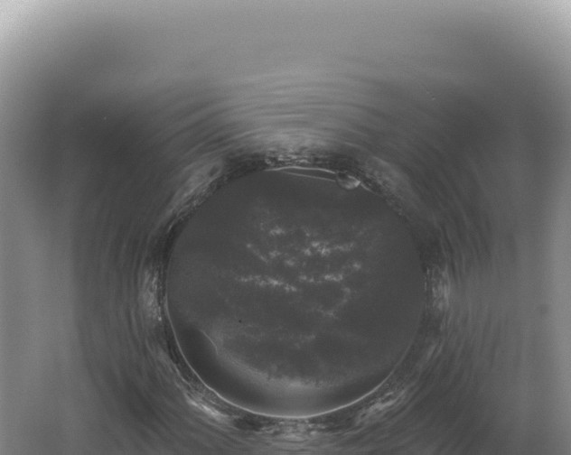 X0000062641060200512231034