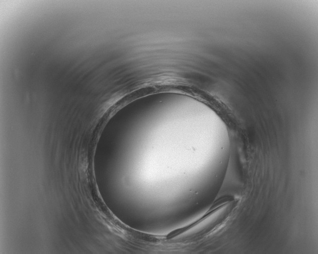X0000062641065200512231034