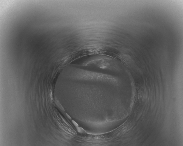 X0000062641106200512231033