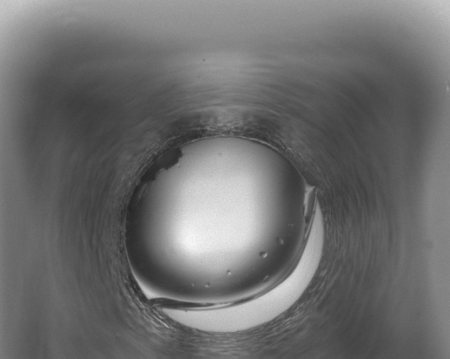 X0000062641153200512231033