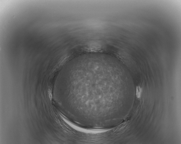 X0000062641155200512231033