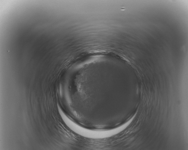 X0000062641202200512231031