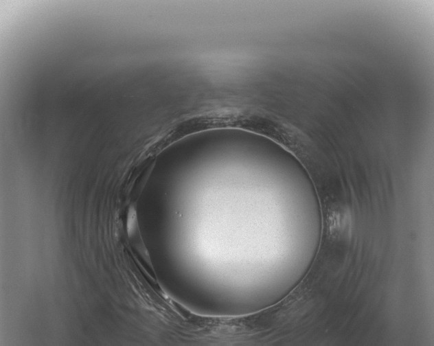 X0000062641204200512231031