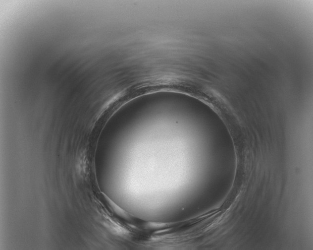 X0000062641210200512231031