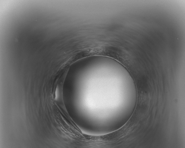 X0000062641250200512231031