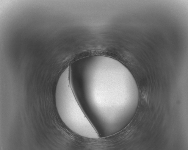 X0000062641252200512231031