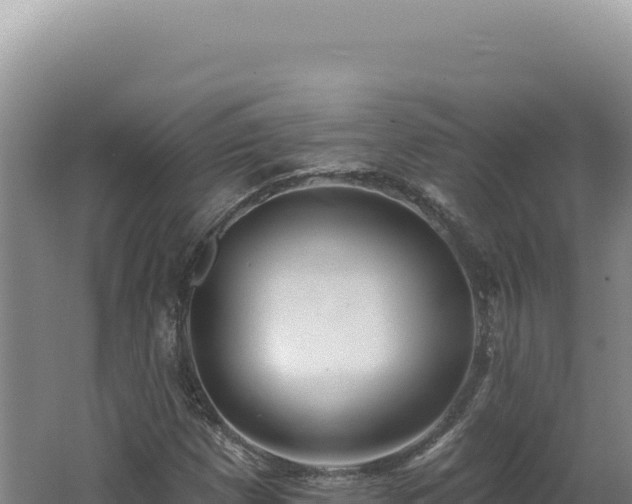X0000062641257200512231031