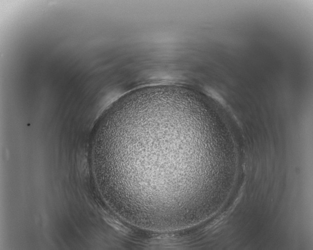 X0000062641259200512231031