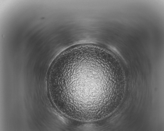 X0000062641268200512231031