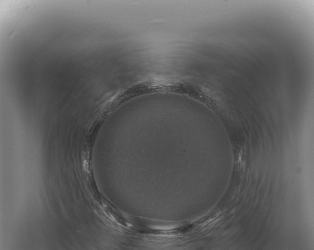 X0000062641348200512231029
