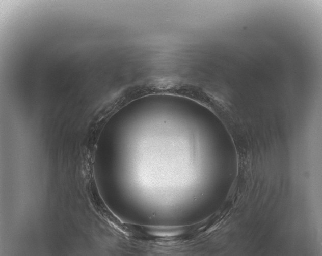 X0000062641349200512231029