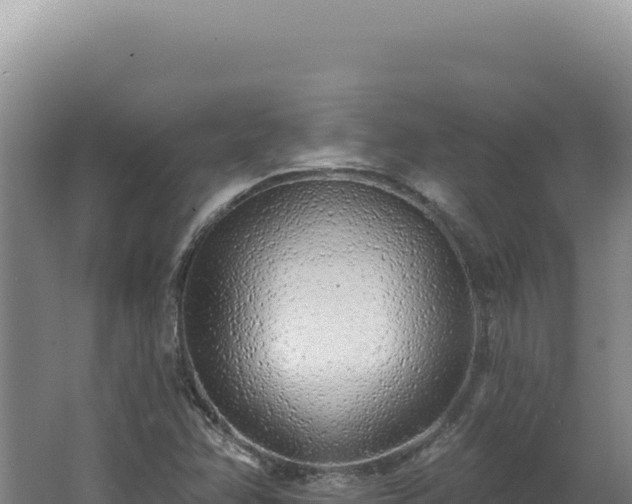 X0000062641358200512231029
