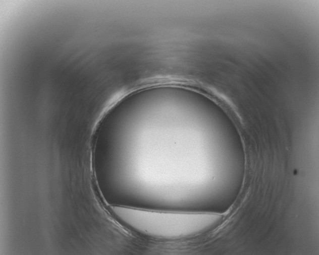 X0000062641365200512231029
