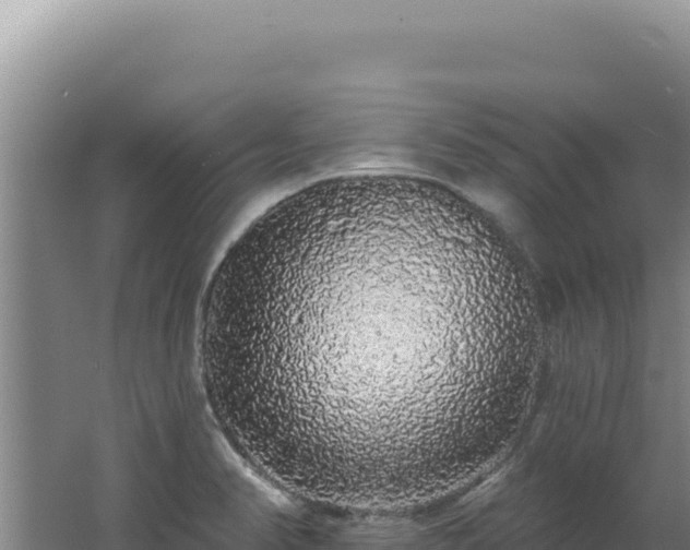 X0000062641374200512231029