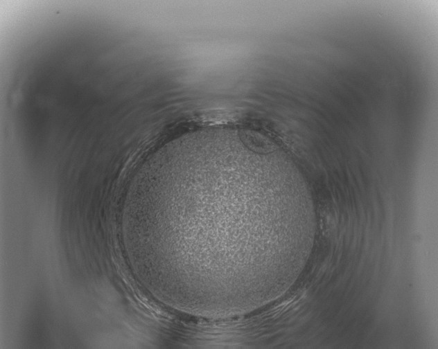 X0000062641393200512231028