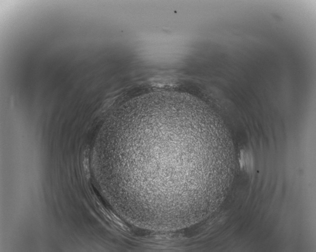 X0000062641396200512231028