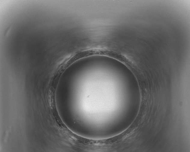X0000062641398200512231028
