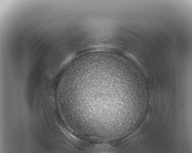 X0000062641403200512231028