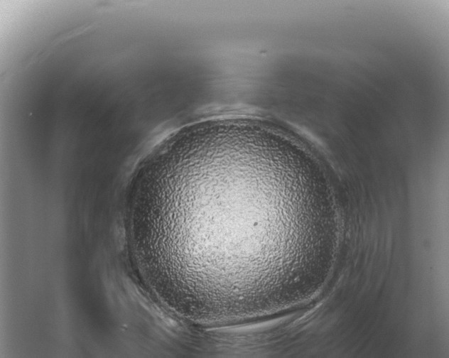 X0000062641407200512231028