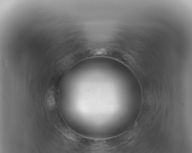 X0000062641442200512231028
