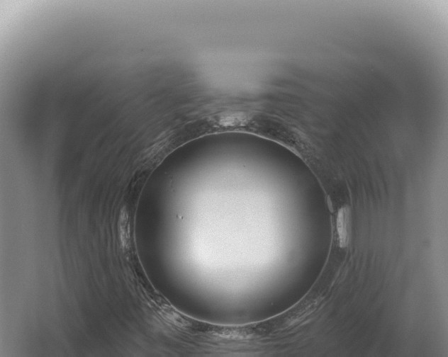 X0000062641443200512231028